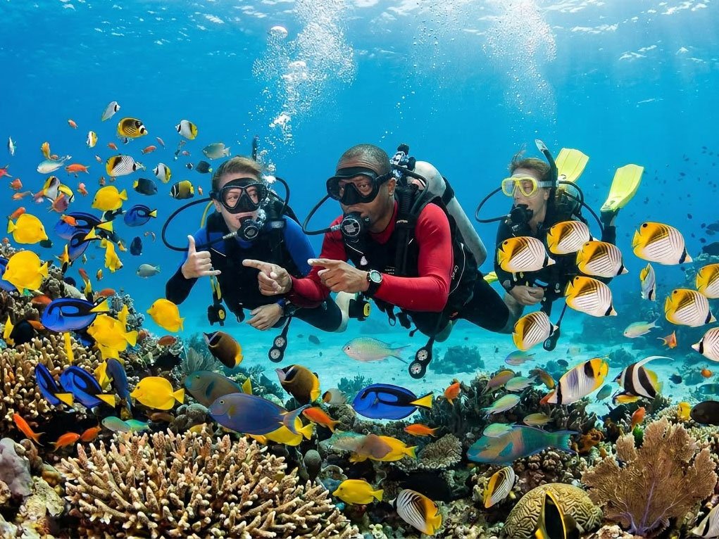 tauchen samui